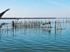 Národní park Albufera